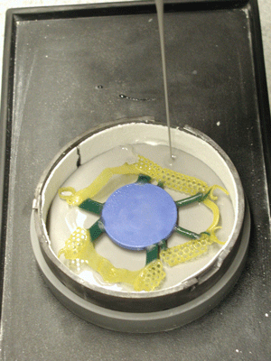 Investing of three Ti-Light patterns in a flat metal ring for Cast by Ti-Research