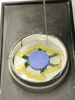Investing of three Ti-Light patterns in a flat metal ring for Cast by Ti-Research