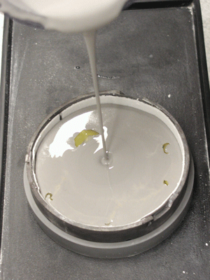 The cut out segments of the metal ring for Cast by Ti-Research must remain clear of investment